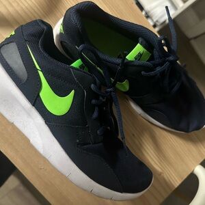 Nike Roche Sneakers